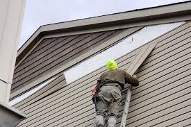 Best Residential Vinyl Siding Installation  in USA